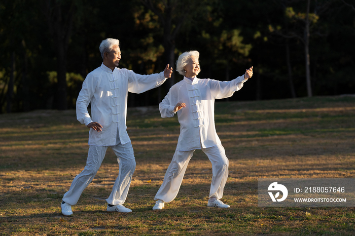 老年夫妇正在练太极拳