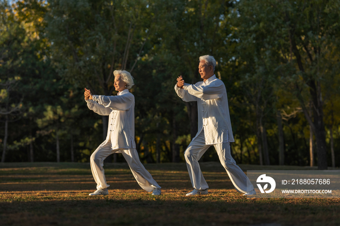 老年夫妇正在练太极拳