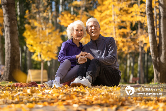 户外老年夫妇坐在落叶上