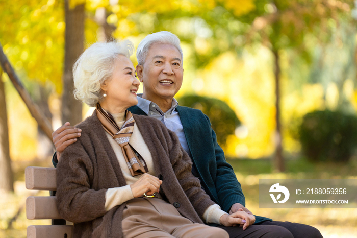 幸福的老年夫妇坐在长椅上