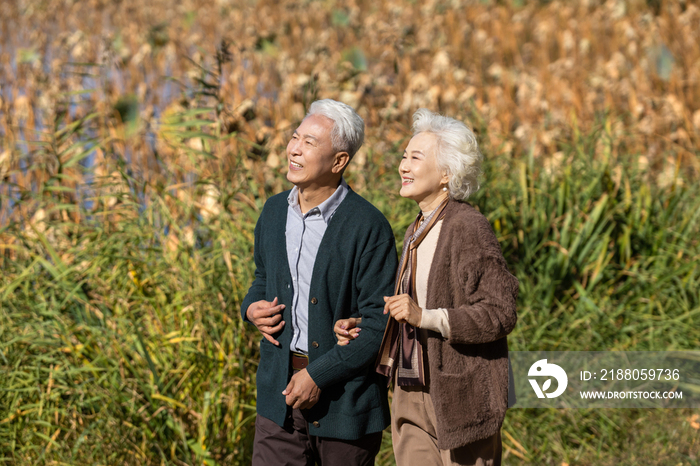 户外散步的幸福老年夫妇