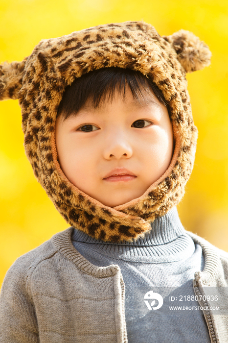 小男孩在户外