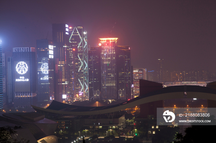 广东省深圳莲花山夜景