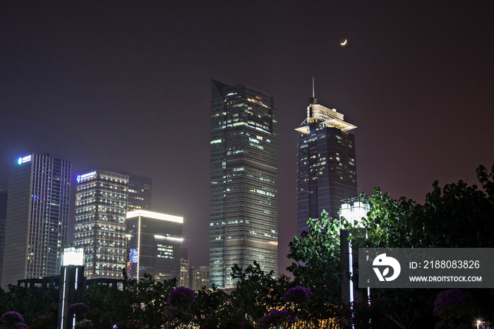 广东省深圳莲花山夜景