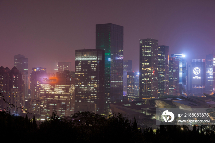 广东省深圳莲花山夜景