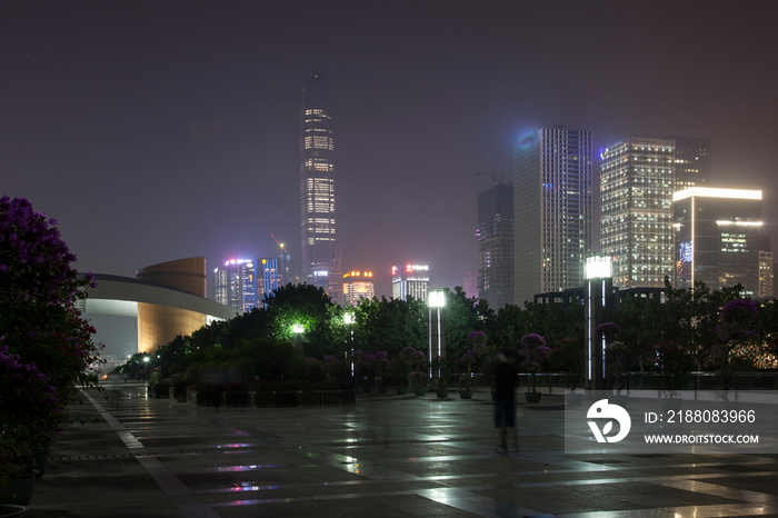 广东省深圳莲花山夜景