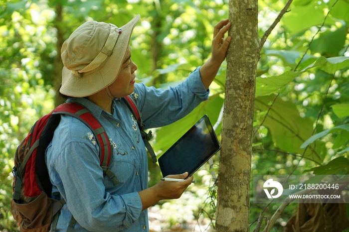 Asian female backpack hiker travel alone in forest , take photos, survey and collect information of botanical plants by using smart tablet. Concept :  backpacking tourism, adventure, field research