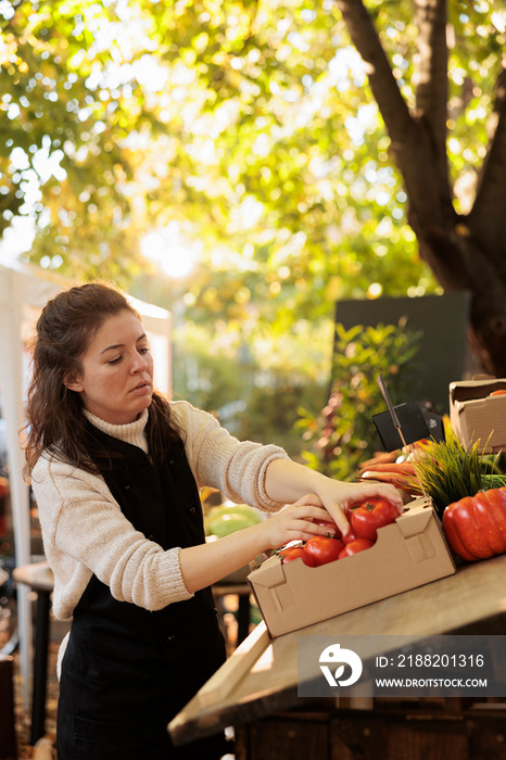 Female seller fresh fruits and vegetables stand owner preparing produce for working day at local farm market. Young person putting zucchini and tomatoes on products stall, selling healthy food.