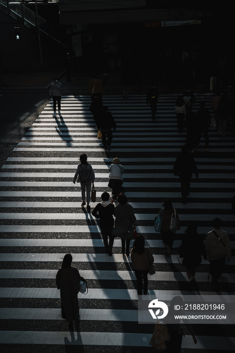 光と影　横断歩道