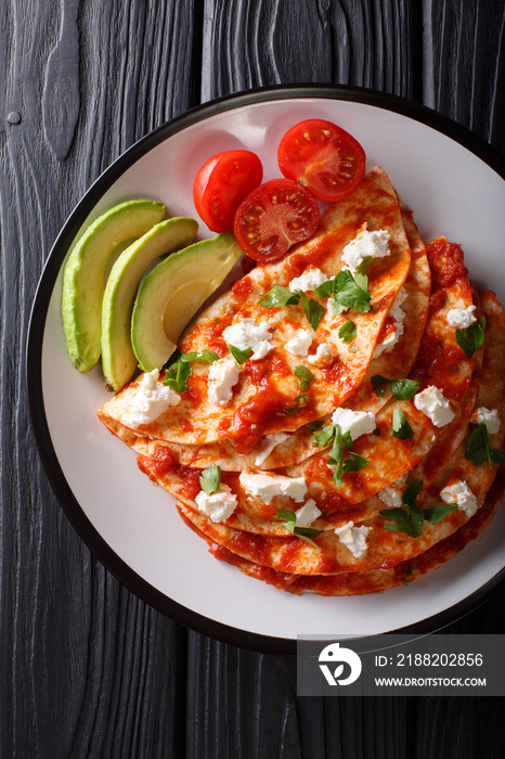 Mexican food: entomatadas with farm cheese, tomato sauce, greens and avocado close-up. Vertical top view