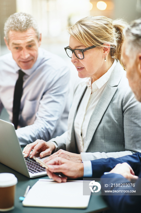 Three mature businesspeople discussing work and using a laptop