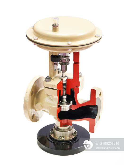 Globe control valve with pneumatic actuator isolated white