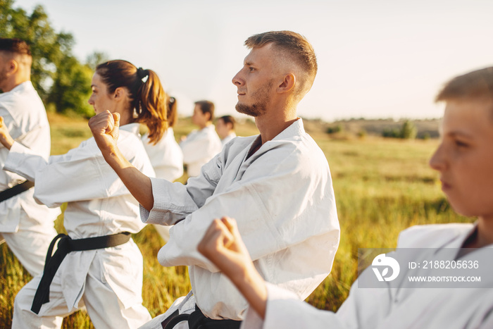 Karate group on training in summer field