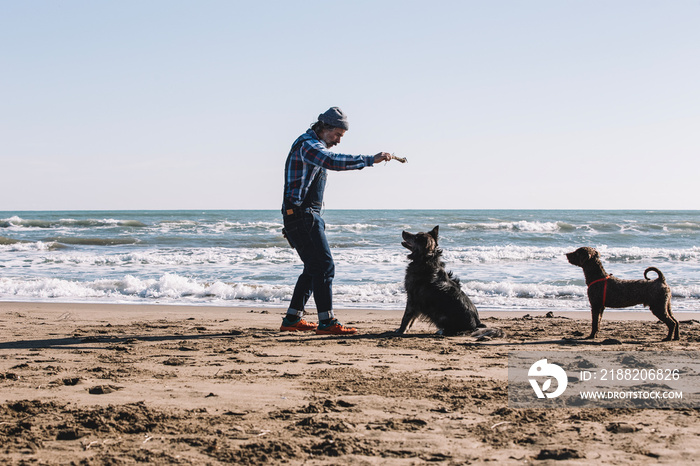 Caucasian male playing with dogs on the beach during a sunny day. Man and dog having fun by the sea