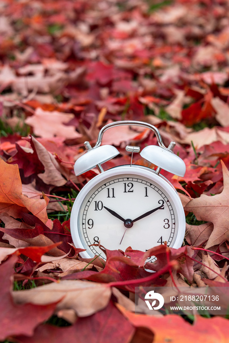 Time change, classic white alarm clock outside on grass covered with fall color of red maple leaves