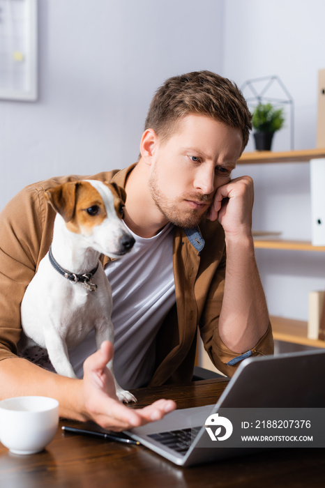 Selective focus of thoughtful businessman looking at laptop near jack russell terrier dog