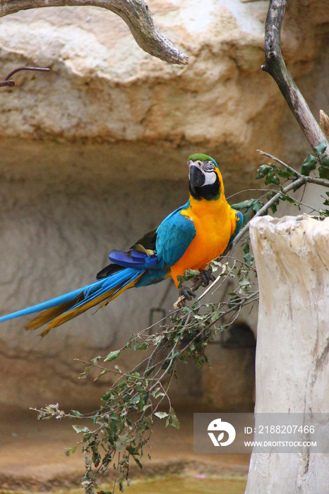 Zoo de la Palmyre - Royan France