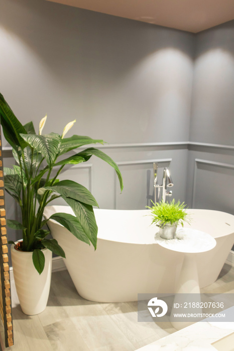 Salle de bain style rétro hôtel particulier parisien type Haussmanien avec une baignoire sabot une belle plante verte un guéridon blanc et des murs gris anthracite