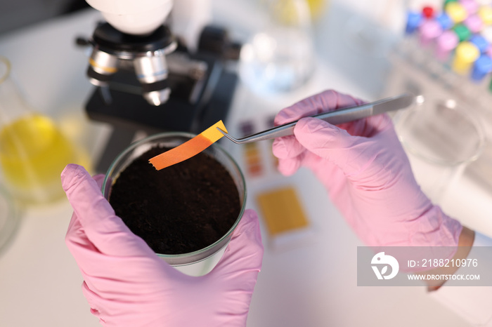 PH test strip and soil study in laboratory closeup