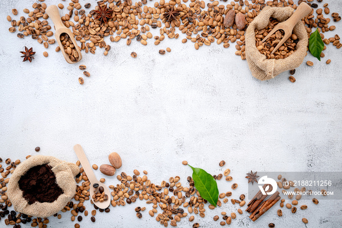 Roasted coffee beans with scoops setup on white concrete background.