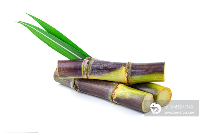 Sugar cane isolated on white background