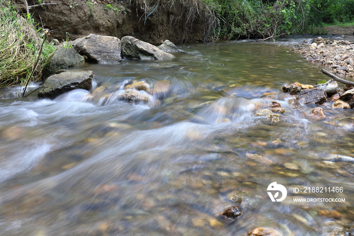 river in the woods