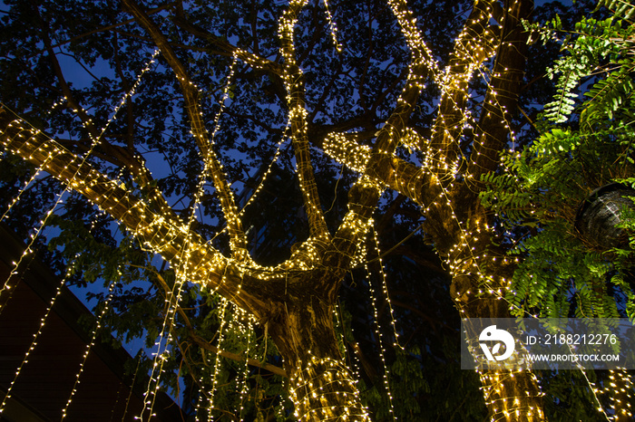 cable of string led lights on tree in the garden at night time used for decorating for beauty According to important festivals