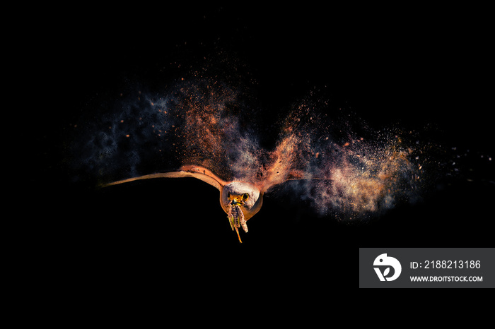 Flying wild bird. Bird of prey. Dispersion, splatter effect. Black background.