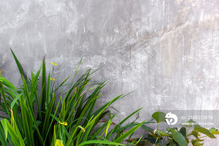 outdoor wall in modern with concrete blocks and vertical garden