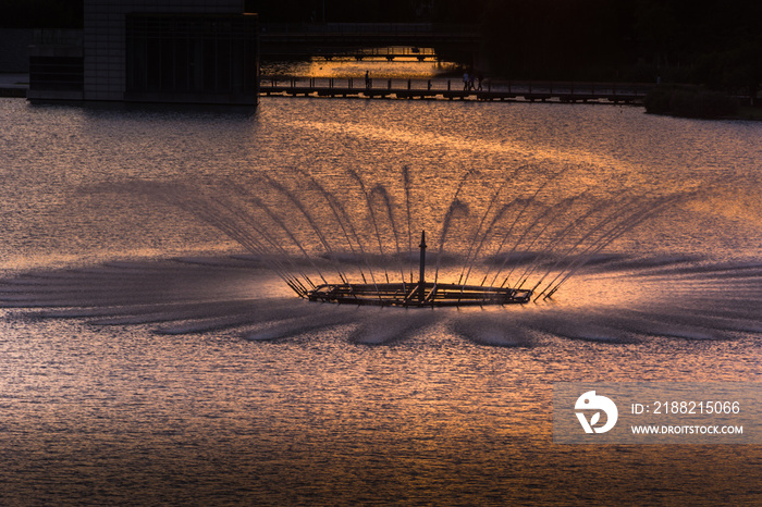 Fountain in the small lake in the city park at sunset