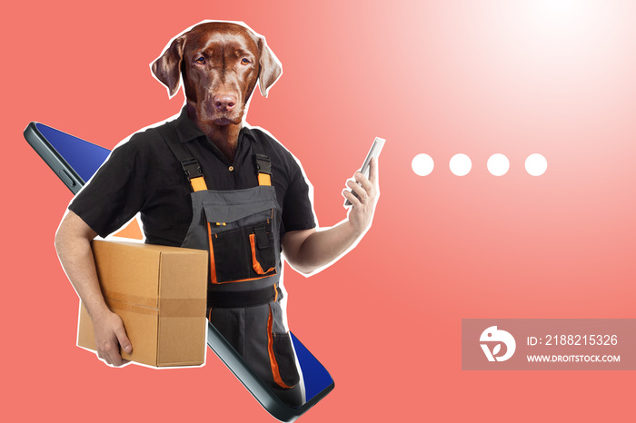 Courier art portrait. Delivery dog ​​in smartphone screen. Labrador retriever on pink background. Metaphor calling delivery service in apps. Search courier via phone. Delivery service apps