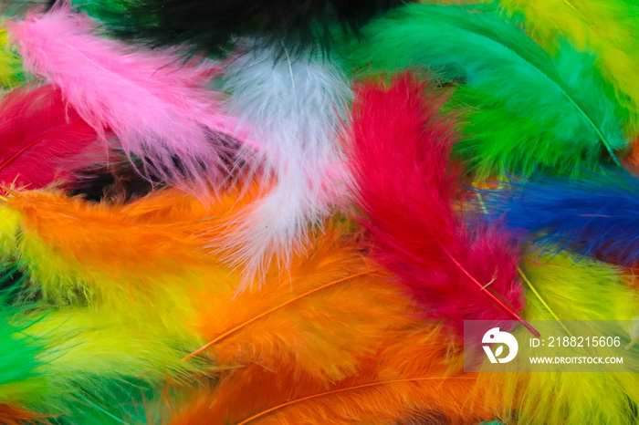 colorful feathers background