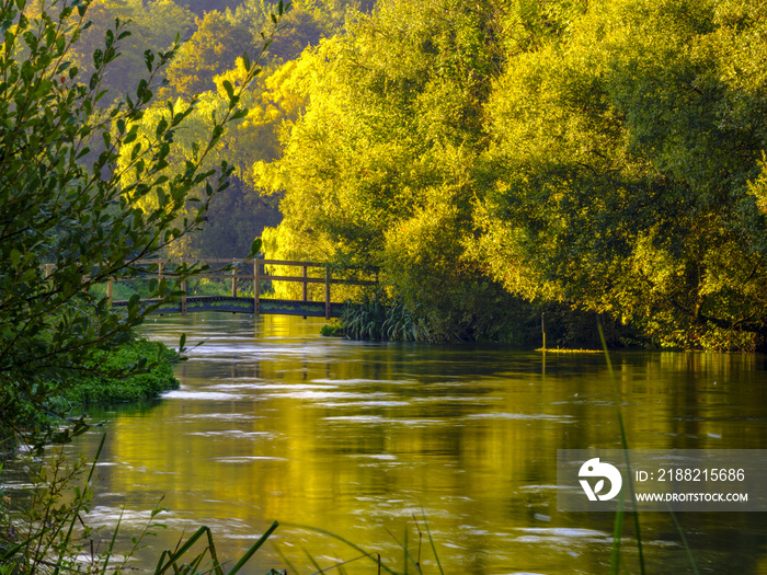 Autumn sunrise on the River Itchen - a famous chalk bed stream renowned for fly fishing - between Ovington and Itchen Abbas in Hampshire, UK.