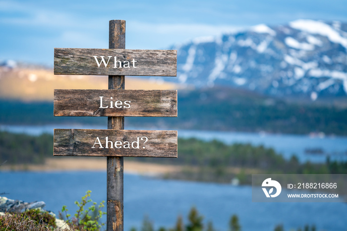 what lies ahead text on wooden signpost outdoors in landscape scenery during blue hour and sunset.