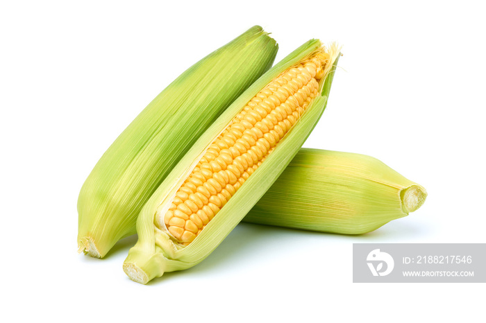 Fresh organic corn cob isolated on white background