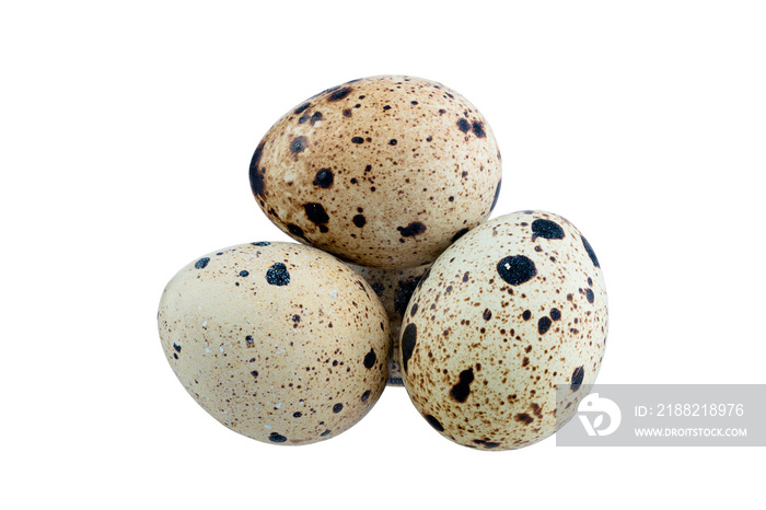 Brown quail egg isolated on white background. Full Depth of field. Focus stacking. PNG