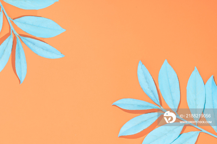 Minimal colorful tropical leaf flat lay idea. Exotic bright pastel blue leaves on vibrant orange background. Retro summer background concept with copy space.