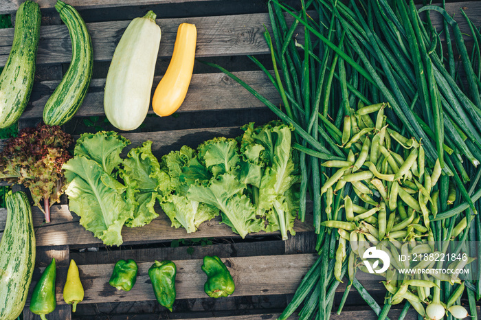 Freshly picked vegetables lie on wooden pallet