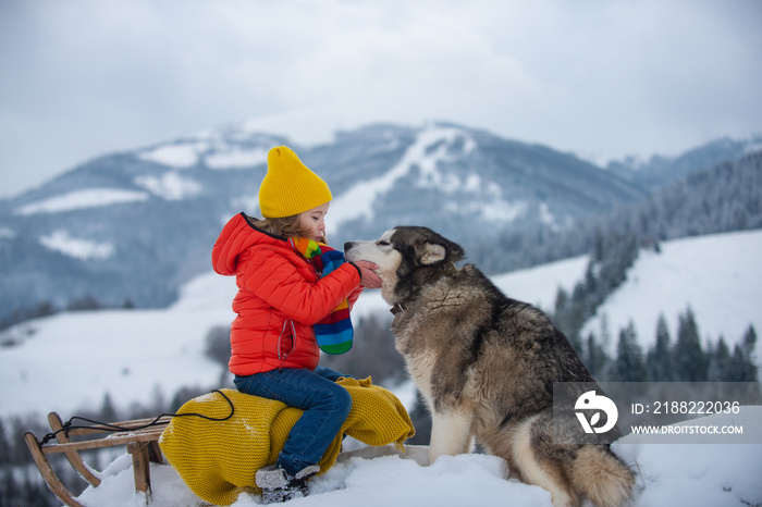 Cute boy enjoying a sleigh ride with husky dog. Child sledding, riding a sledge play outdoors in snow in winter park. Outdoor winter active fun for family vacation.