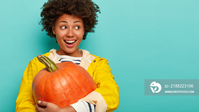 Autumn and groceries concept. Pleased cheerful Afro girl picks up vegetable from garden, embraces big orange pumpkin, wears raincoat, stands against blue background. Fall organic food and harvest