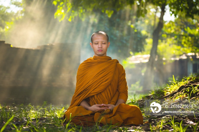 Monk in Buddhism Meditation