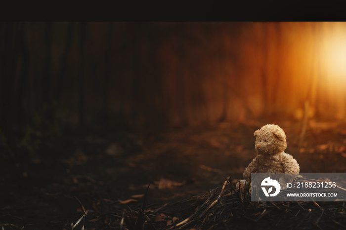 Lonely teddy bear in the  burnt forest.Global warming/Ecology concept background.