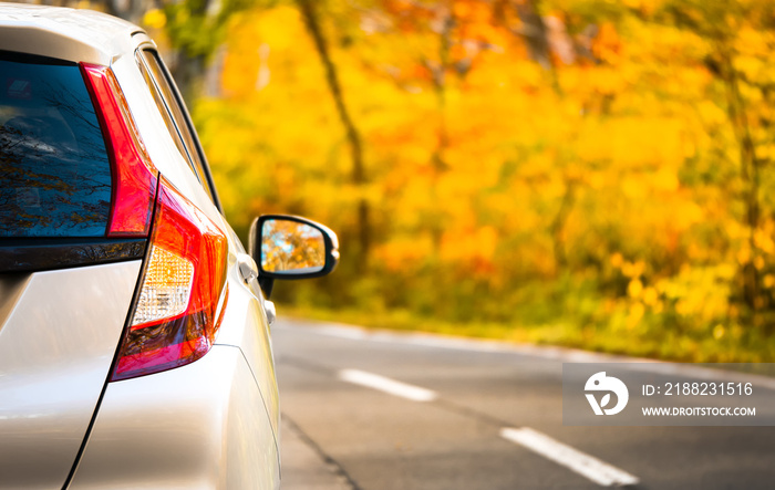 Close Up Tail lamp of The car on the road or gold line in the forest during the autumn season with blur forest and Leaves change color background in travel and transportation concept.