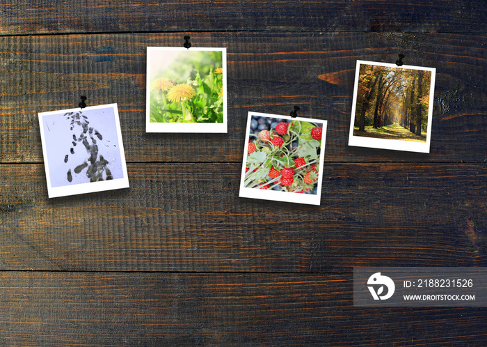 Photos of four seasons attached to dark wooden wall. Seasons on dark background