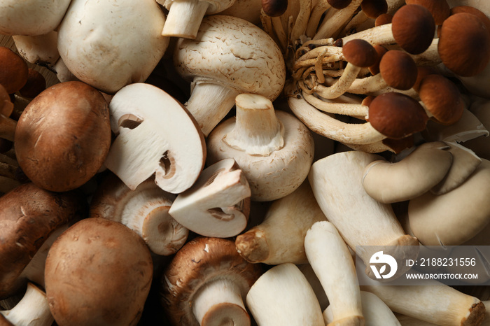 Different mushrooms textured background, close up