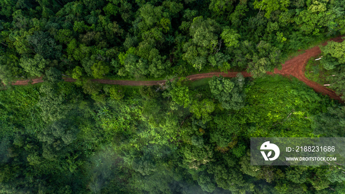 Aerial top view rural road in the forest, dirt road or mud road and rain forest, Aerial view road in nature, Ecosystem and healthy environment