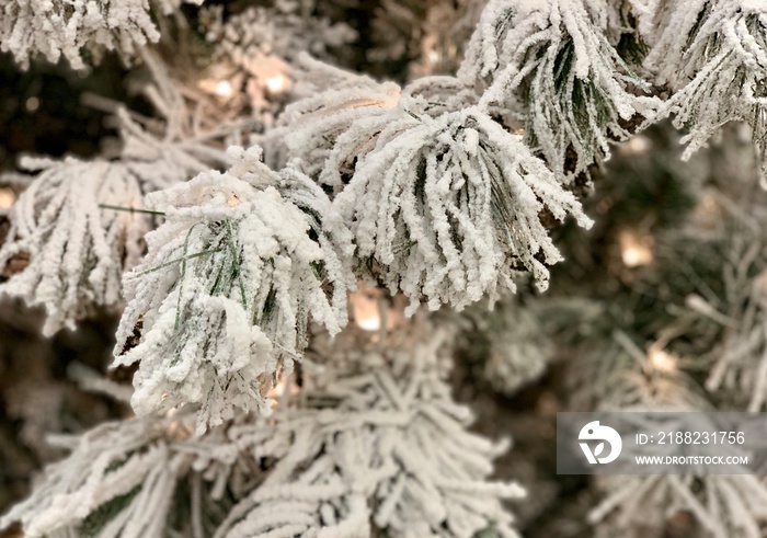 White flocked branches of a evergreen tree