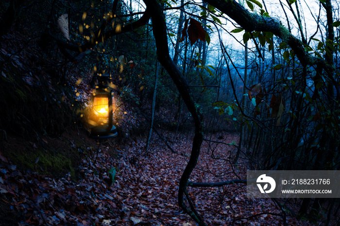 Vintage old burning yellow lantern at dark moody forest