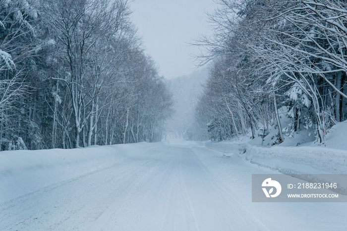 Winter road on snow-covered forest.