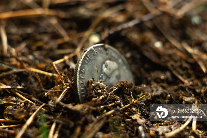 An old silver coin sticks out of the ground. Search for treasures. Treasure hunters. Lost jewels. Archaeology.